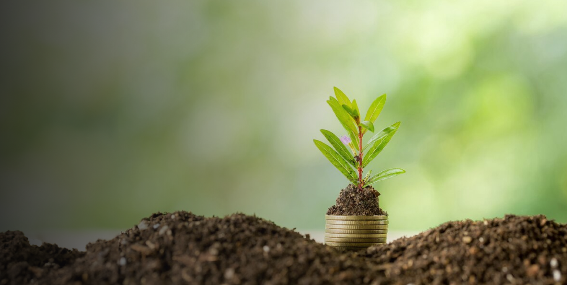 Assetline Capital (Pvt) Ltd